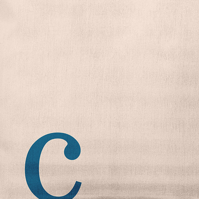 Modern Monogram Indoor/Outdoor Throw Pillow, Autumn Blue
