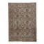 Wool Oriental Area Rug