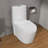 17" W ADA Compliant Ceramic One-Piece Toilet Dual Flush Toilet Soft Close Toilet with Comfort Chair Height Seat in White