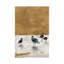 Seagulls Chillin' by Lanie Loreth - Wrapped Canvas Painting-1911973024