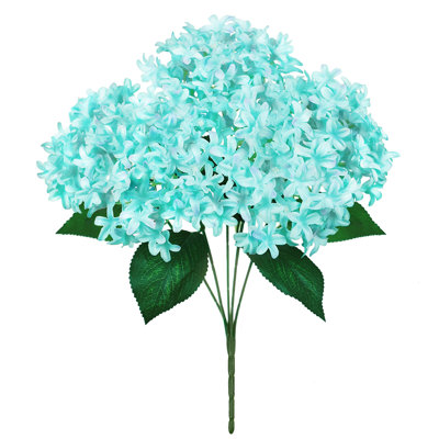 Étoile, hortensia et fleurs