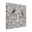 Art sur toile-92972224