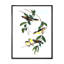 Oiseau rétro III - peinture sur toile-59814177-59814181