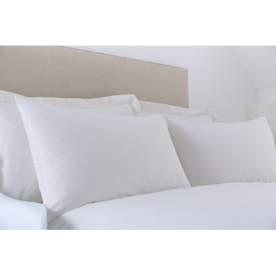 Izyan Cotton Blend Standard Pillow Case