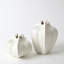 Star Fruit Vase-64402280