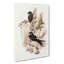 Australian Swift by Elizabeth Gould - Wrapped Canvas Painting-55367445
