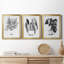B&W d'intérieur plante IV - ensemble de 3 peintures sur toile encadrées-524709916-524709918