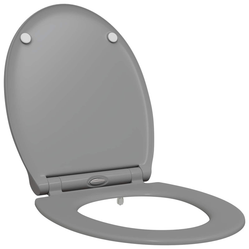 Anthracite Plastic Standard Adjustable Armrests Toilet Seat, Grey