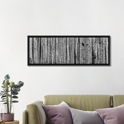 " Aspen Trees In Black & White, Alberta, Canada " by Panoramic Images