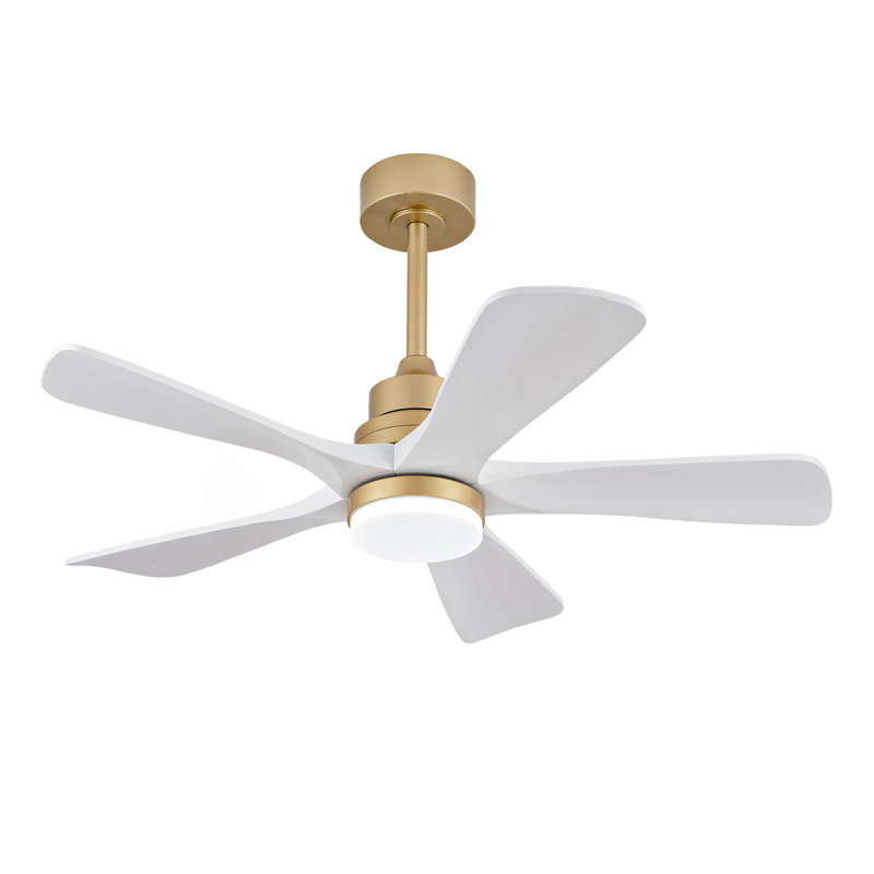Ventilateur de plafond intérieur chaud 42 pouces avec lumière DEL à intensité variable, 5 pales en bois massif, télécommande, moteur à courant continu
