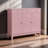 24 Pair Shoe Storage Cabinet-99348725