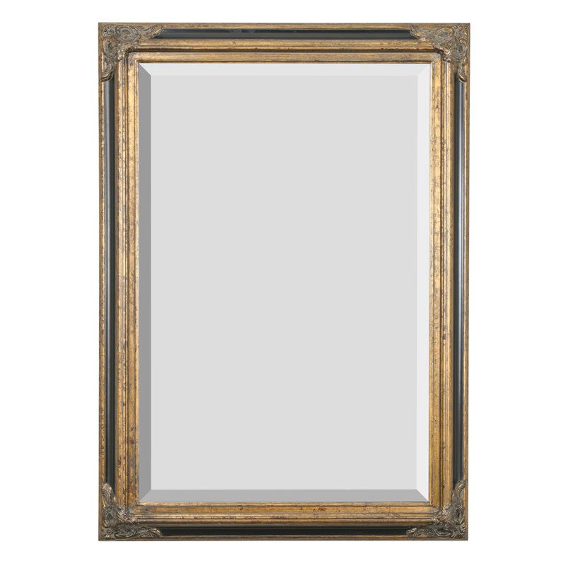 David-Paul Solid Wood Rectangle Wall Mirror, Antique Gold/Black