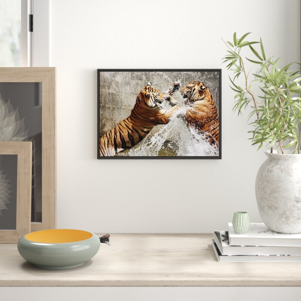 Gerahmtes Wandbild KÃ¤mpfende TigerWasser