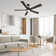 Liandro 60'' Ceiling Fan with Light