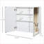 Armoires, armoire de salle de bain à miroir avec cadre double en acier 24 po x 22 po | Blanc neige | Minimaliste