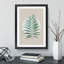 Botanical Fern - Framed Print-62806389-62806399