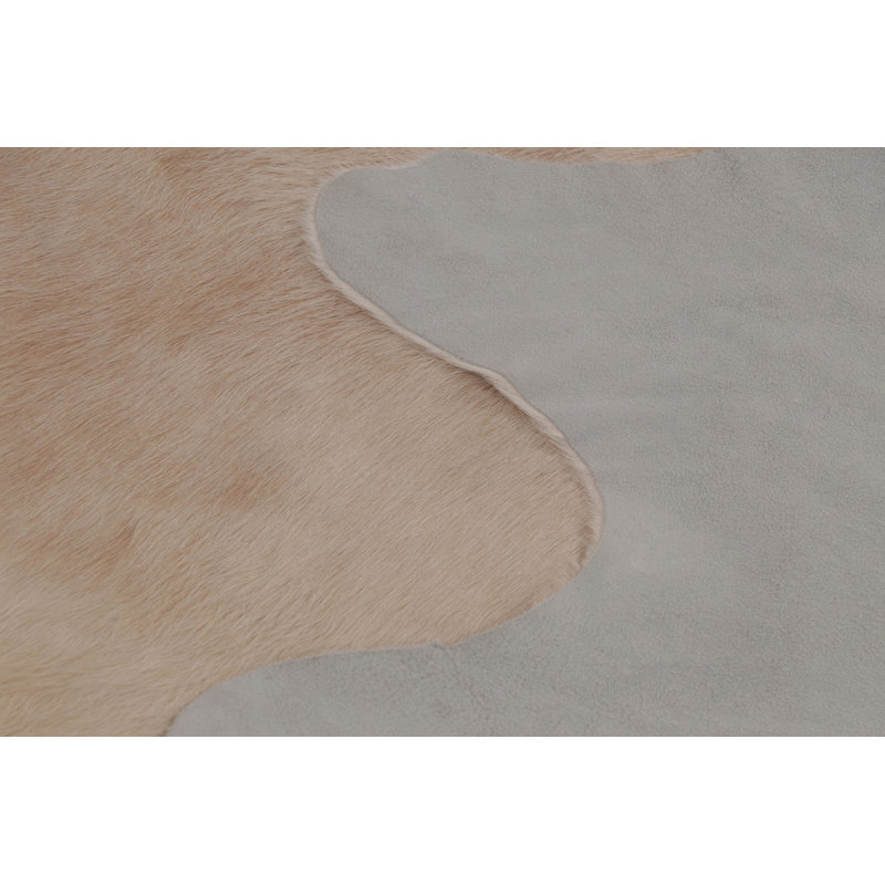 Modern Classics Hand Woven Area Rug