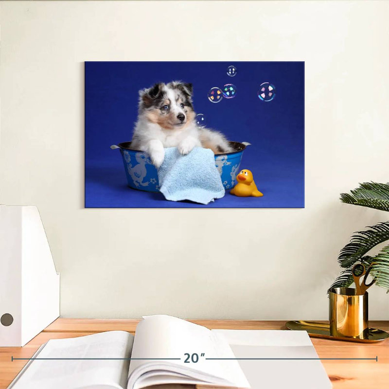 L'heure du bain chiot Brampt, H 8 po x l 12 po