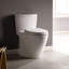 Aquia® Dual-Flush Elongated Bidet Toilet (Seat Included)-17017199