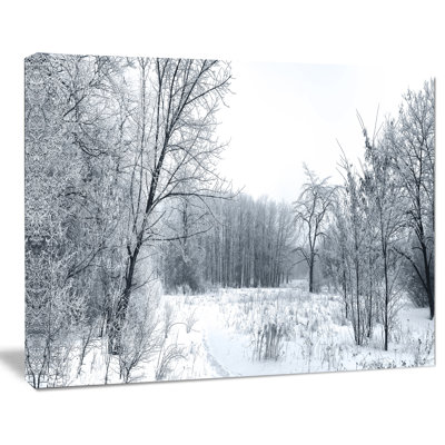 « belle hiver panorama », impression sur toile tendue