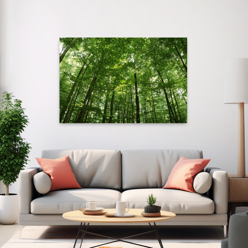 Faible angle de vue des arbres de hêtre, Allemagne, H 40 po x l 60 po