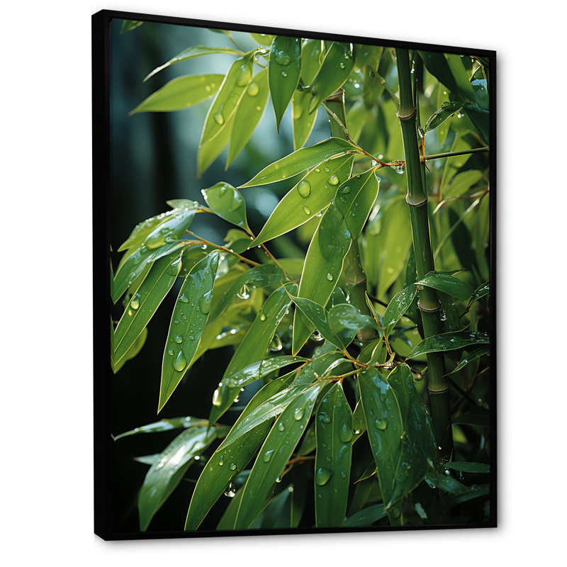 " Bamboo Sunset Photography III ", Black Floater Framed, 44" H x 34" W x 1.5" D
