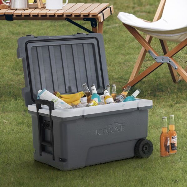 Sunjoy 60 Qt. Solar Cooler & Reviews | Wayfair