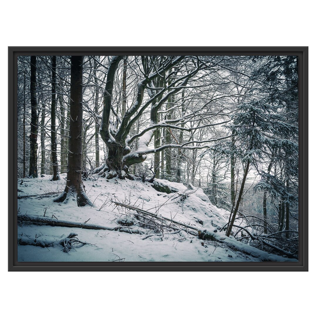 Schneebedeckter Wald Gerahmter Fotodruck