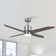 52" 4 - Blade Ceiling Fan With LED Lights And Remote Control
