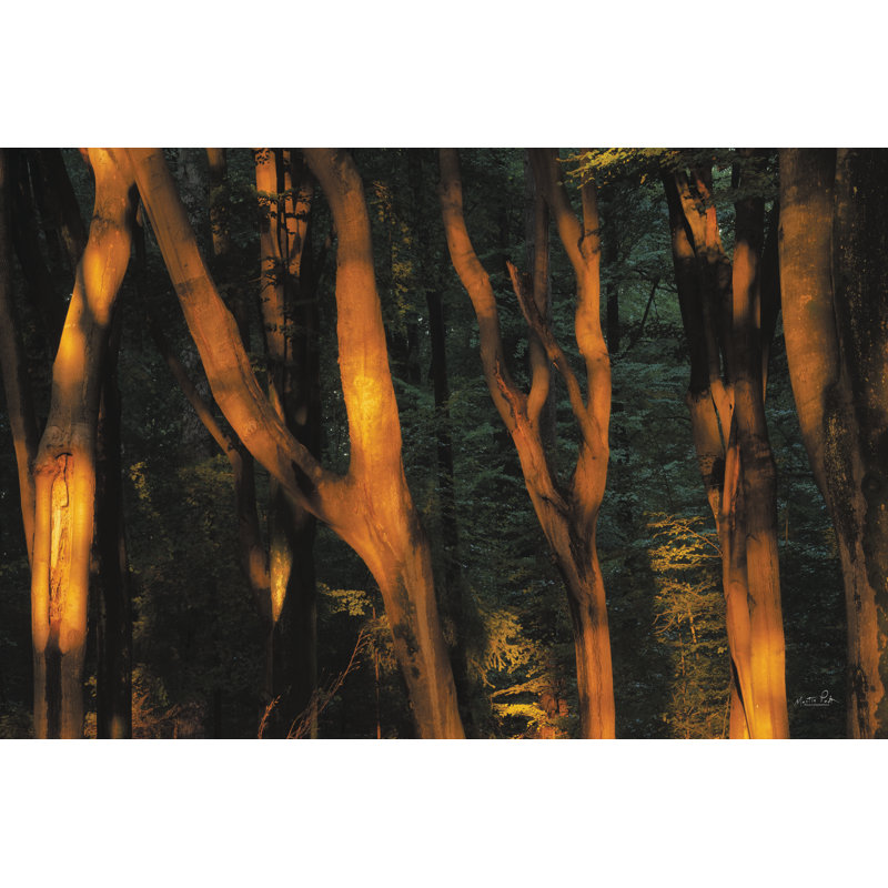 «Touched By The Sun» sur toile par Martin Podt, H 8 po x l 12 po x P 1,25 po