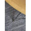 Azman Area Rug in Gray-233124126