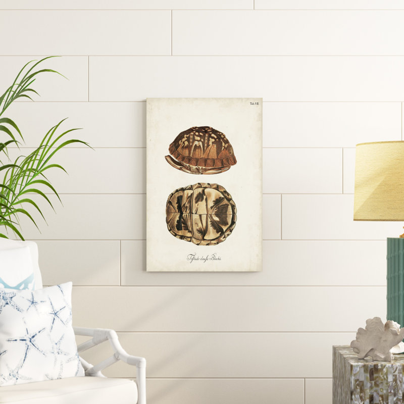 Tortues et coquillages antiques III, H 30 po x l 20 po x P 1,25 po