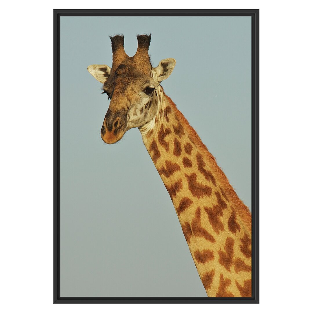 Gerahmtes Wandbild majestätische Giraffe