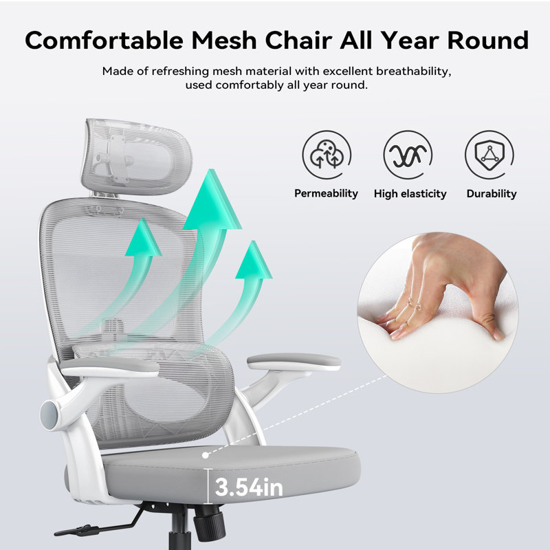 Ergonomic Mesh Office Chair with Adjustable Lumbar Support and Padded Armrests, for 5'3" to 6'6", Light Gray, White