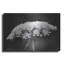 «Queen Anne's Lace» par Lori Deiter, art mural en métal-705931664