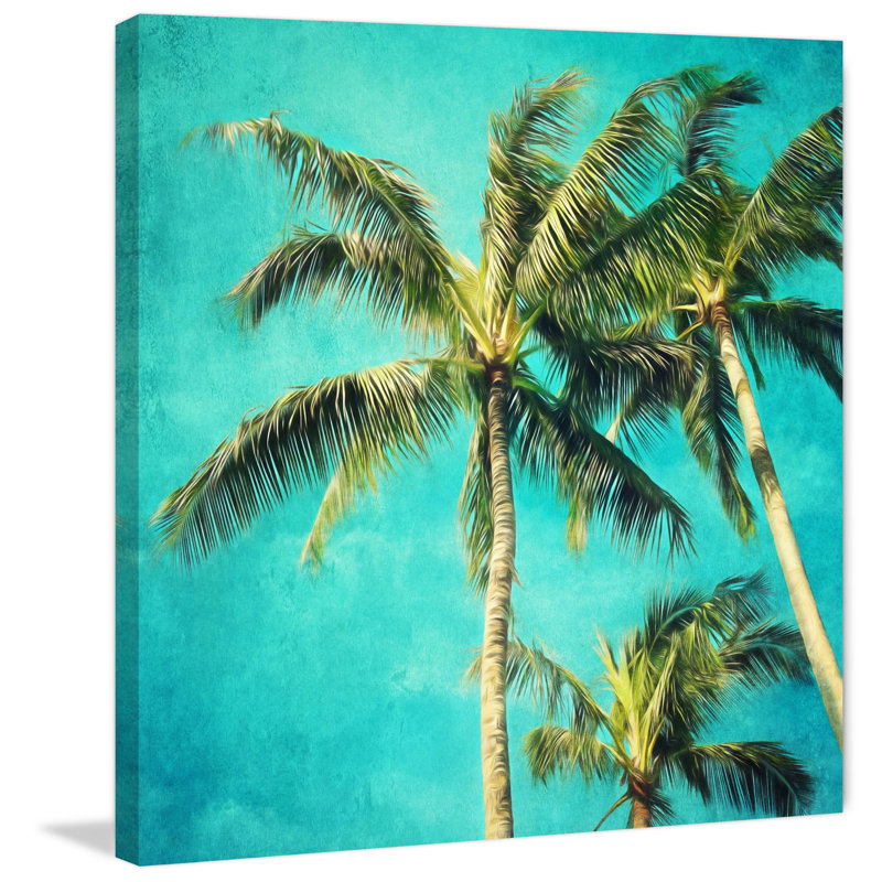 Sylvia Cook - Wrapped Canvas Print, 61cm H x 61cm W x 3.81cm D