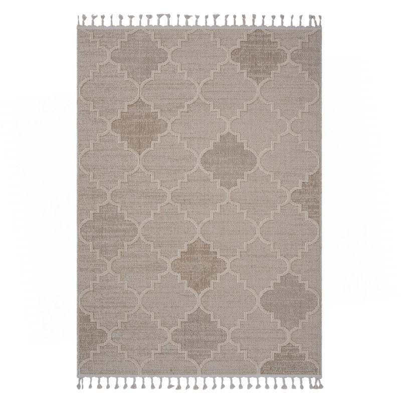 Collection 4X6 Indoor / Outdoor Area Rug, Rectangle 4' x 6'2"