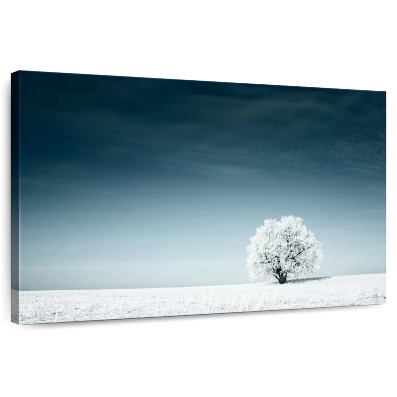 Alvord Lone Tree In Winter