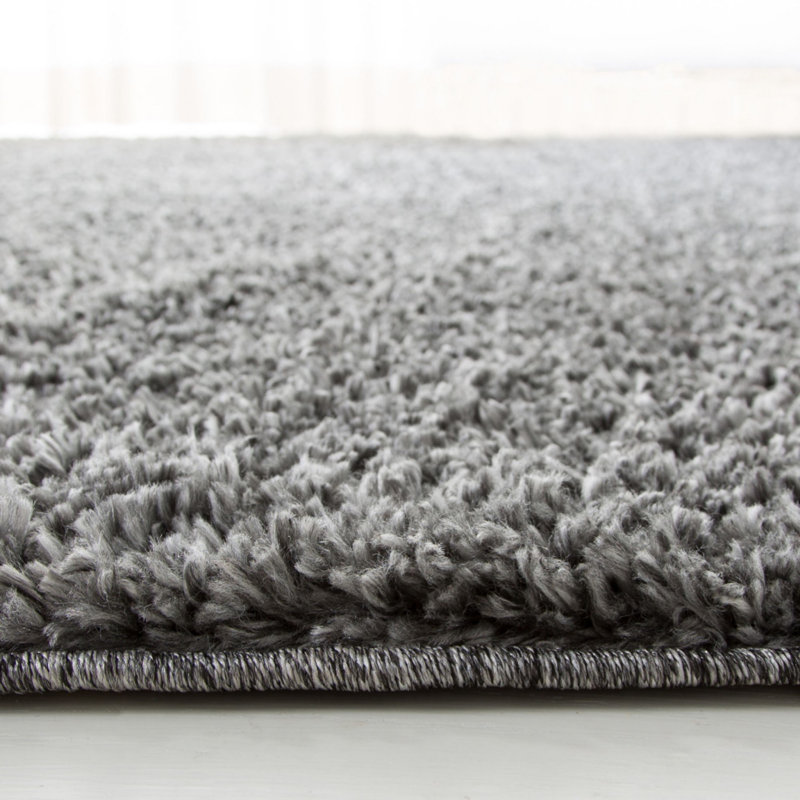 Lakely Area Rug, Rectangle 244 x 305cm