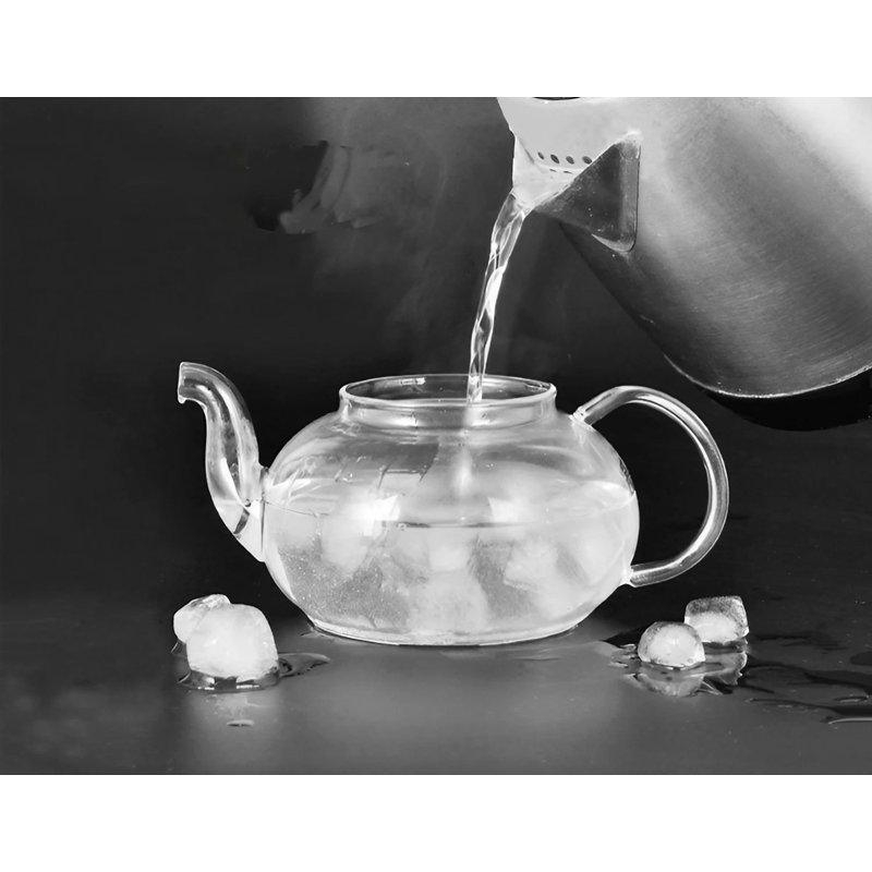 Wrought Studio Doneva Glass Teapot, 1000