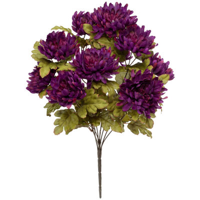 OakRidge Mum Bush
