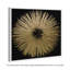«Abstract Sunburst Golden Night», impression-51241198-119864314-51241197