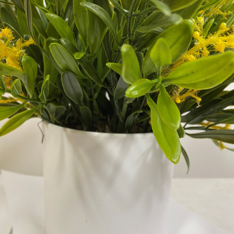 Mélangé dans un pot