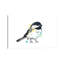Chickadee - Itty Bitty Chicky par Lisa Whitehouse - impression d'art graphique-52542009-52542016-52542010