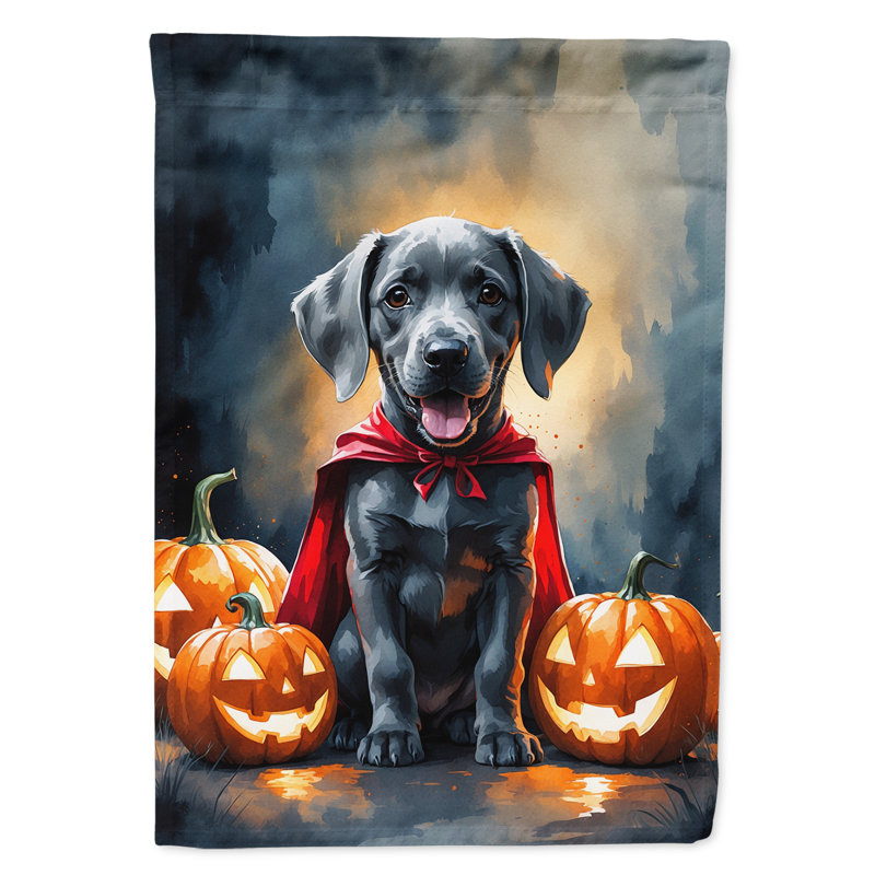 Drapeau de jardin chiot Halloween, Weimaraner