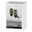 Midnight Champagne Flutes
