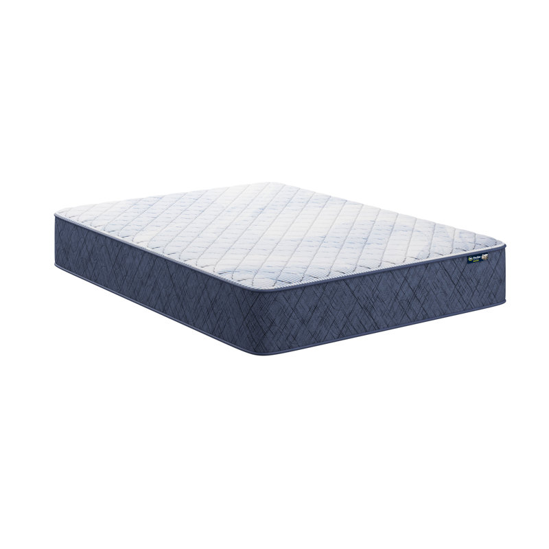 Serta Five Star Mattress Sleep to Go Firm Mattress in a Box, Twin XL, 12"