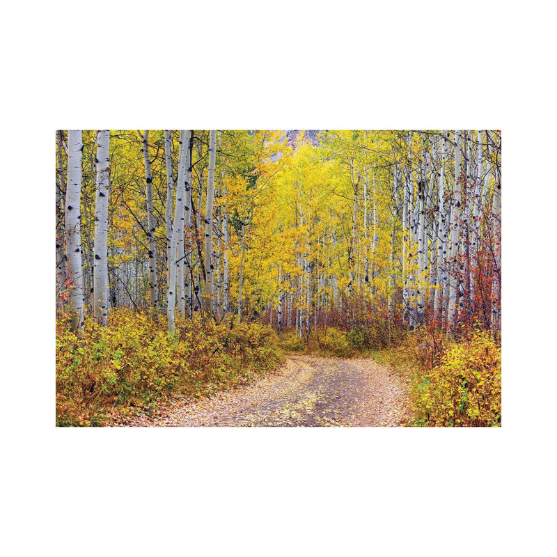 Forêt d'Aspen, Colorado, H 8 po x l 12 po x P 0,75 po