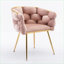 Ensemble de 2 chaises d'appoint simples modernes en velours rose pour adultes, siège rembourré pour le salon de la chambre à coucher