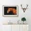 Chestnut Brown Horse - Picture Frame Graphic Art Print-56708824-56708821
